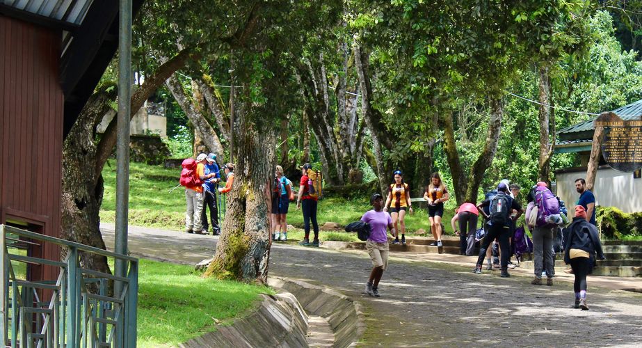 Kilimanjaro trekking